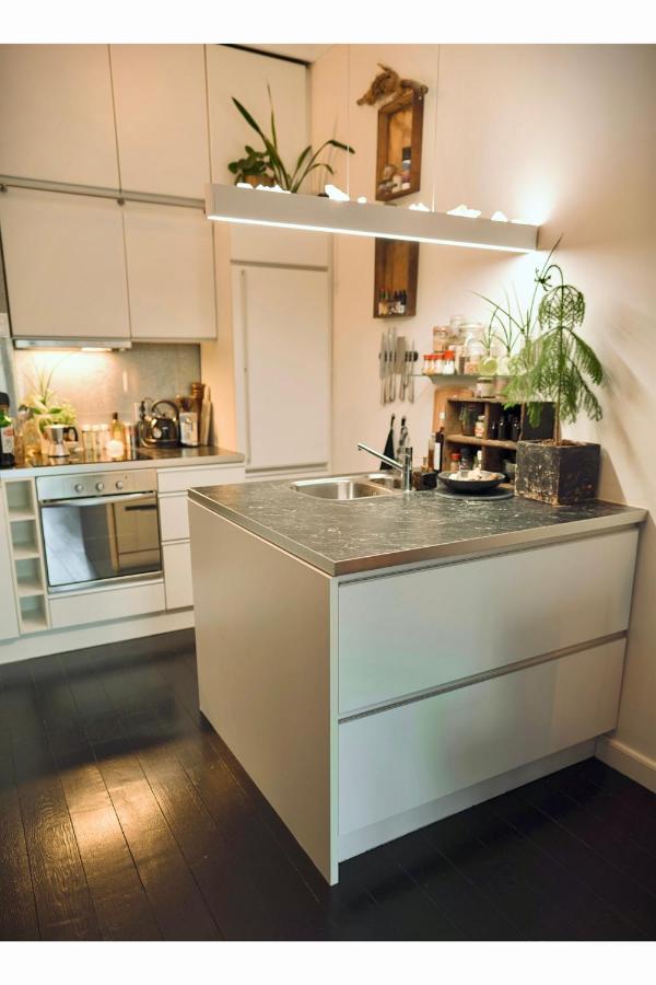Lovely, 1898 Jugendstil Design Apartment, Old Haarlem City Centre, Fully Renovated With Parkview Near Amsterdam And Zandvoort, Bloemendaal Beach エクステリア 写真