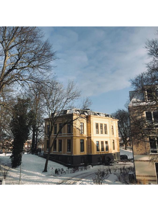 Lovely, 1898 Jugendstil Design Apartment, Old Haarlem City Centre, Fully Renovated With Parkview Near Amsterdam And Zandvoort, Bloemendaal Beach エクステリア 写真