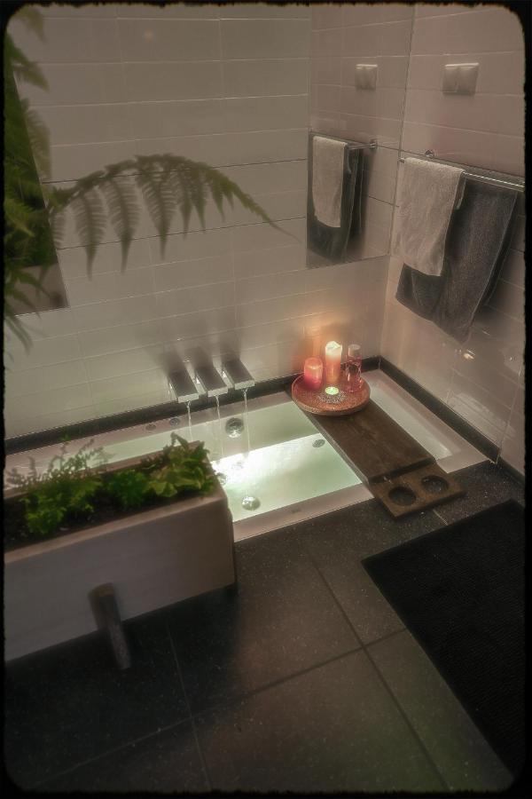 Lovely, 1898 Jugendstil Design Apartment, Old Haarlem City Centre, Fully Renovated With Parkview Near Amsterdam And Zandvoort, Bloemendaal Beach エクステリア 写真