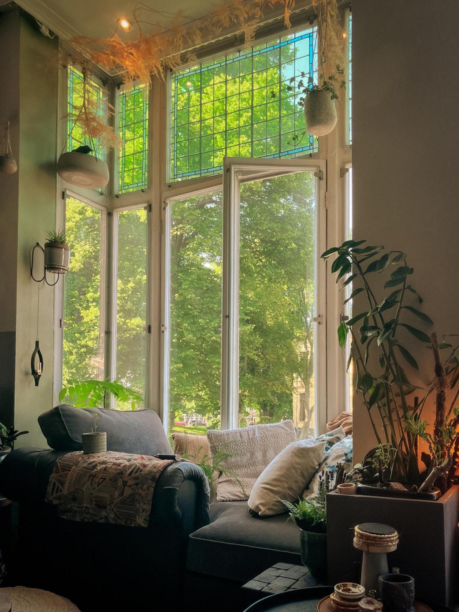 Lovely, 1898 Jugendstil Design Apartment, Old Haarlem City Centre, Fully Renovated With Parkview Near Amsterdam And Zandvoort, Bloemendaal Beach エクステリア 写真