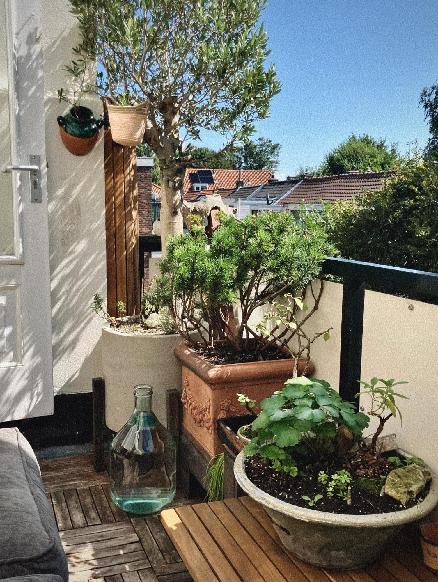 Lovely, 1898 Jugendstil Design Apartment, Old Haarlem City Centre, Fully Renovated With Parkview Near Amsterdam And Zandvoort, Bloemendaal Beach エクステリア 写真